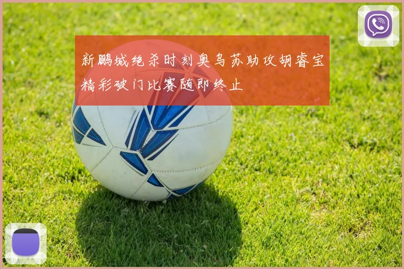 新鹏城绝杀时刻奥乌苏助攻胡睿宝精彩破门比赛随即终止